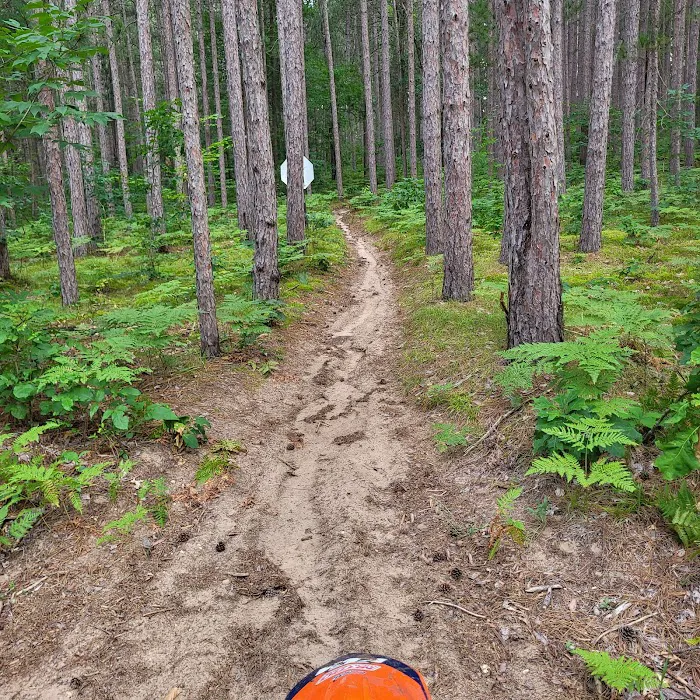 Kestelwoods Campground 8