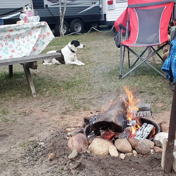 Kestelwoods Campground 5