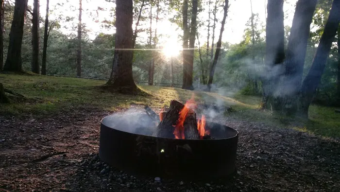 Peterson Creek Campground 6