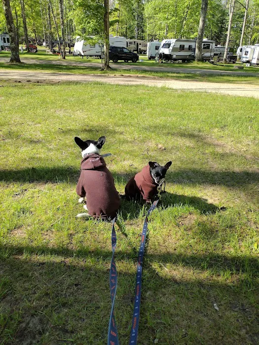 Peterson Creek Campground 8