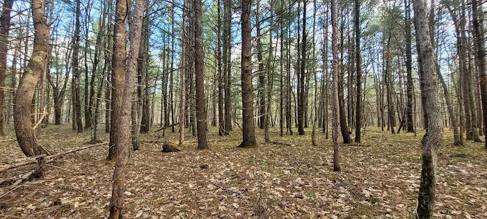 Rally Point Veterans Camp Ground 4