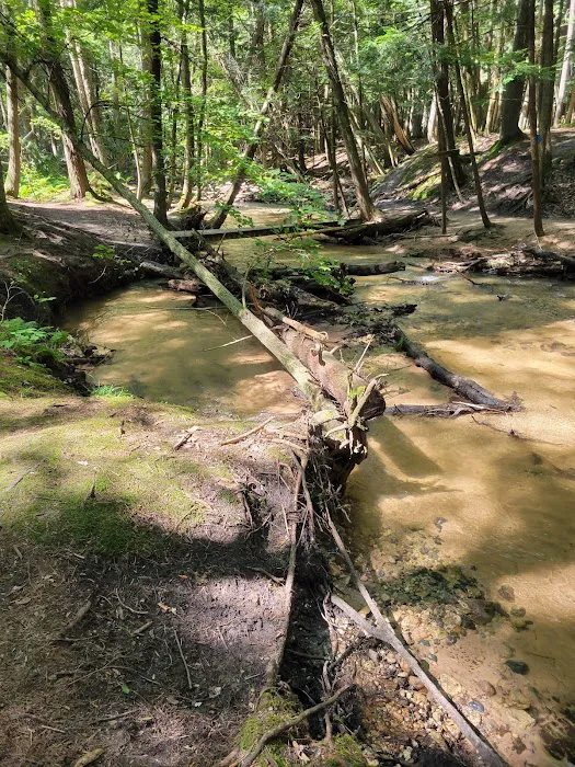 Red Bridge River Access 6