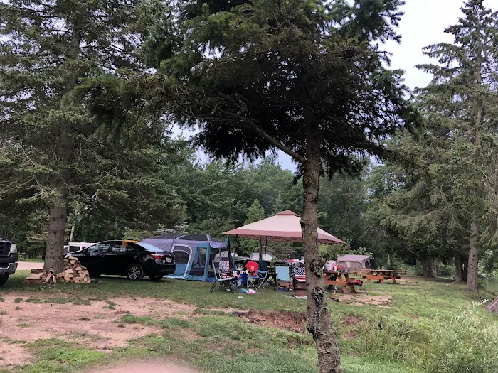Matson's Big Manistee River 9