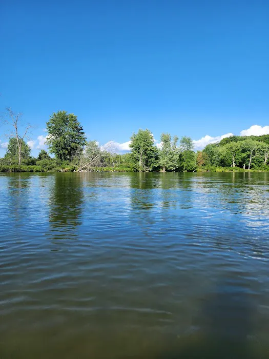 Matson's Big Manistee River 5