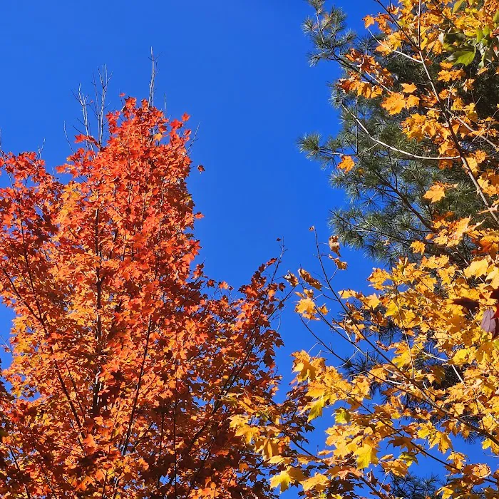 Kaleva Roadside Park & Campground 7