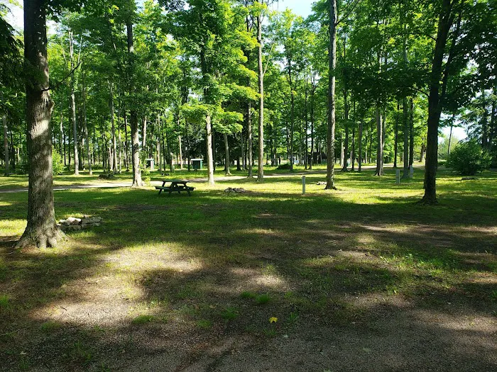 Kaleva Roadside Park & Campground 6