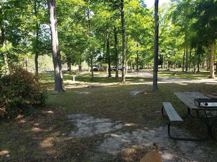 Kaleva Roadside Park & Campground 10