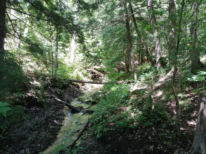 Seaton Creek Campground 8