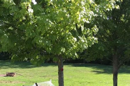 Paint creek Rv lots