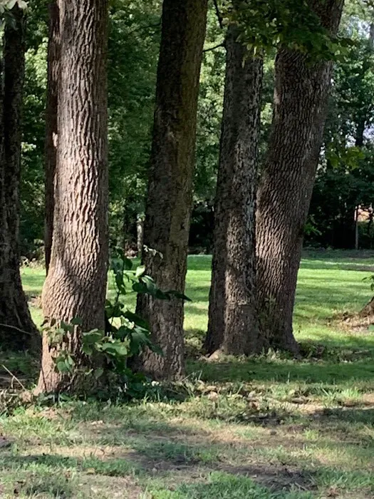 Paint creek Rv lots 4