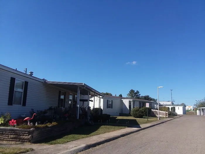Scarlett Manor 8
