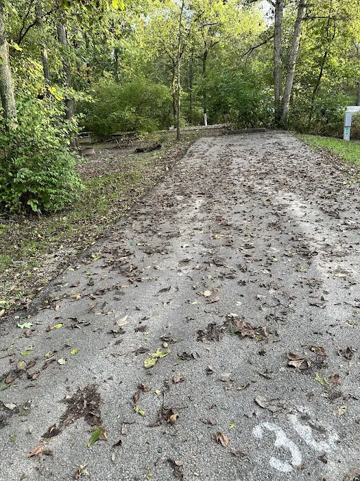 Campsite 36 (Electric Only) 1