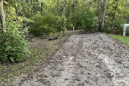 Campsite 36 (Electric Only)