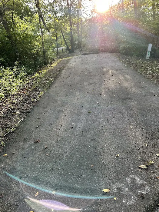 Campsite 33 (Electric Only) 1