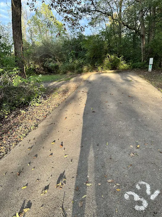 Campsite 32 (Electric Only) 1
