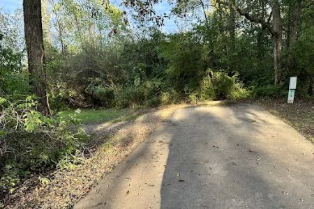 Campsite 32 (Electric Only)