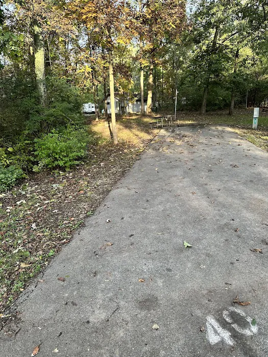 Campsite 44 (Electric Only) 1