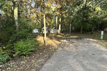 Campsite 44 (Electric Only)