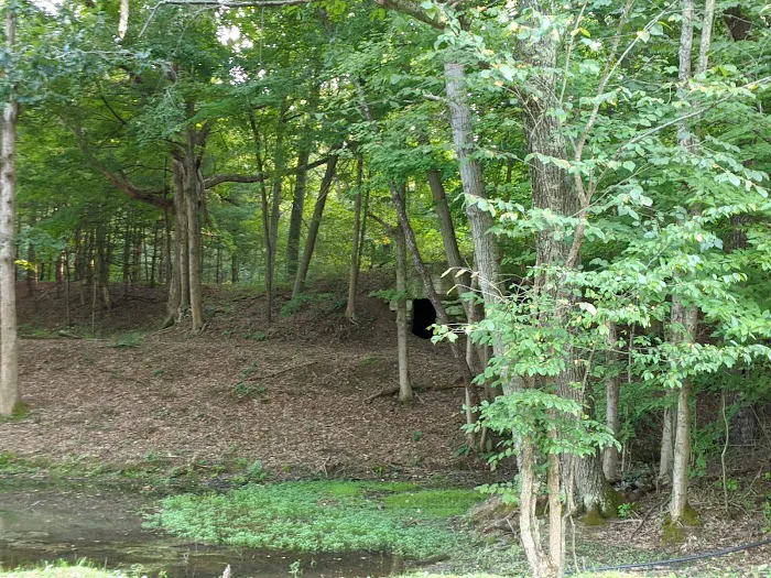 Walhonding Hills Campgrounds 10