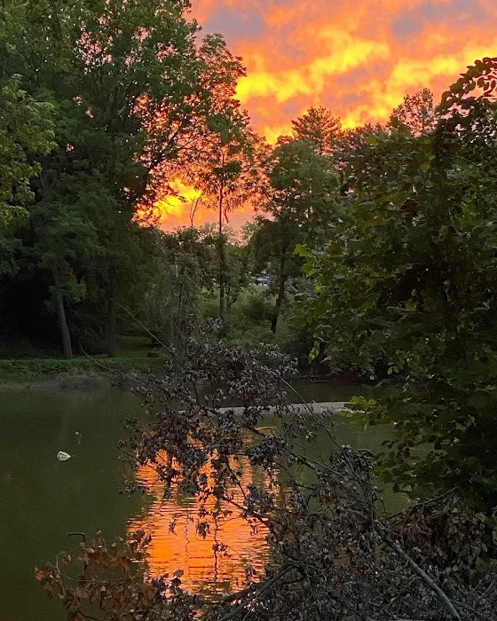 Last of the Mohicans Campground, LLC 8
