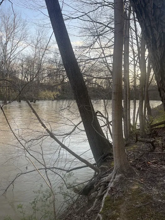 Camp Tonawanda 3