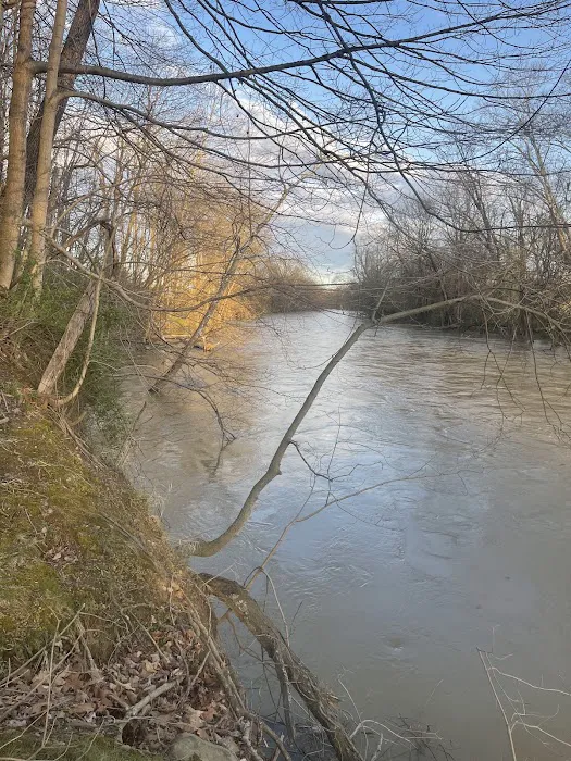 Camp Tonawanda 9