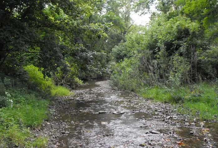 Rippling Stream Campground 4