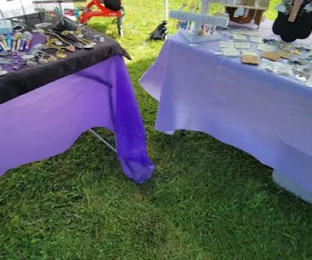 Spruce Tree Village Mobile Home