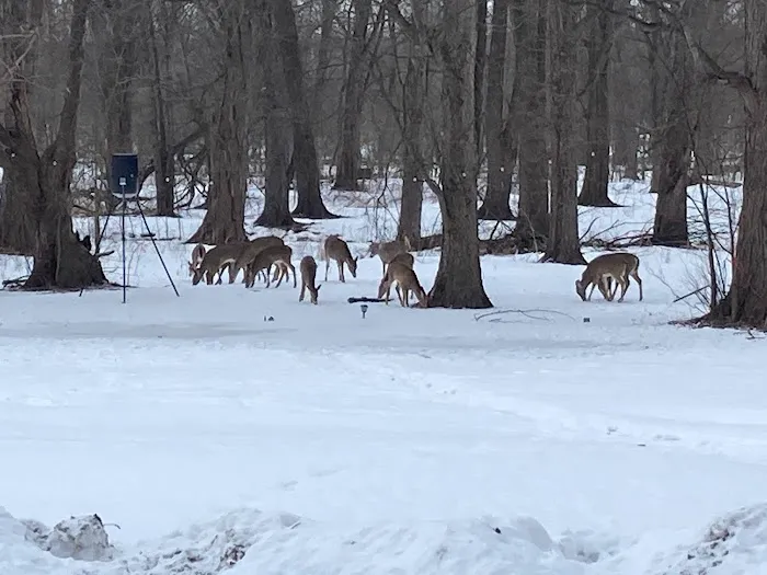 Chippewa Valley Campgrounds 9