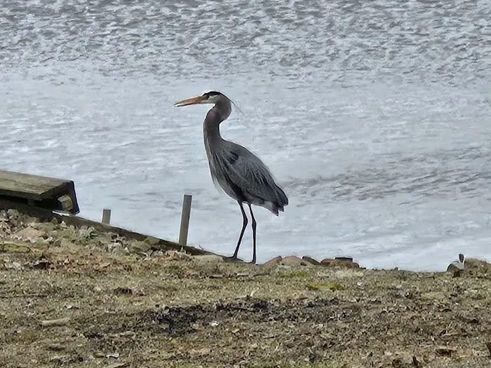 Lakeland Beach Park 4