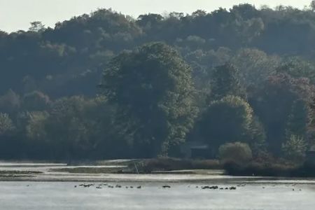 Lakeland Beach Park
