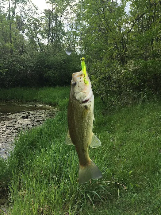 Willow Lake Park 10