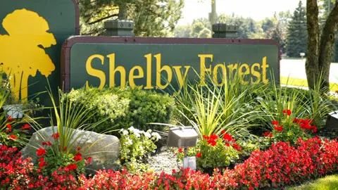 Shelby Forest 6
