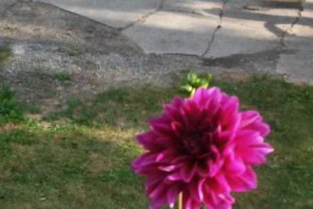 Twin Pines Mobile Home Community