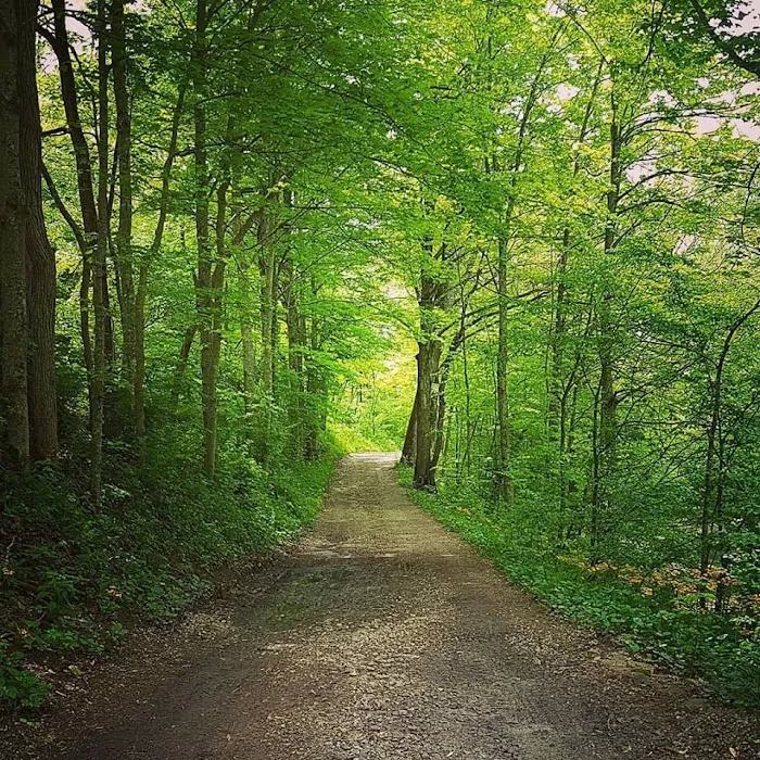 Little Wing Hollow 6