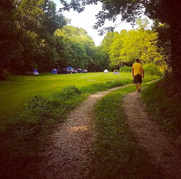Little Wing Hollow 10