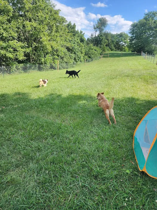 Camper Village RV Park, Dry Ridge Kentucky 7