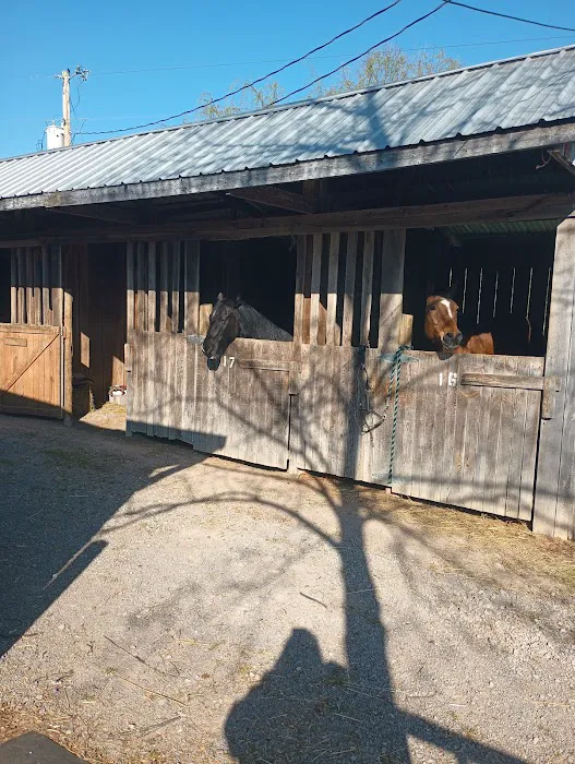 Quiet Woods Green River Stables 1