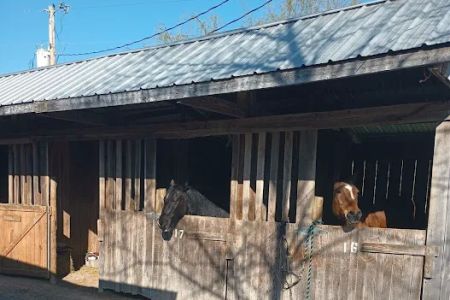 Quiet Woods Green River Stables
