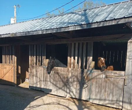 Quiet Woods Green River Stables
