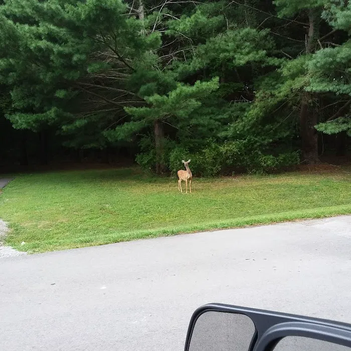 Holmes Bend Campground 9