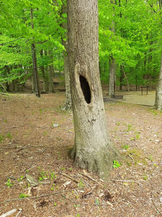 Holmes Bend Campground 1
