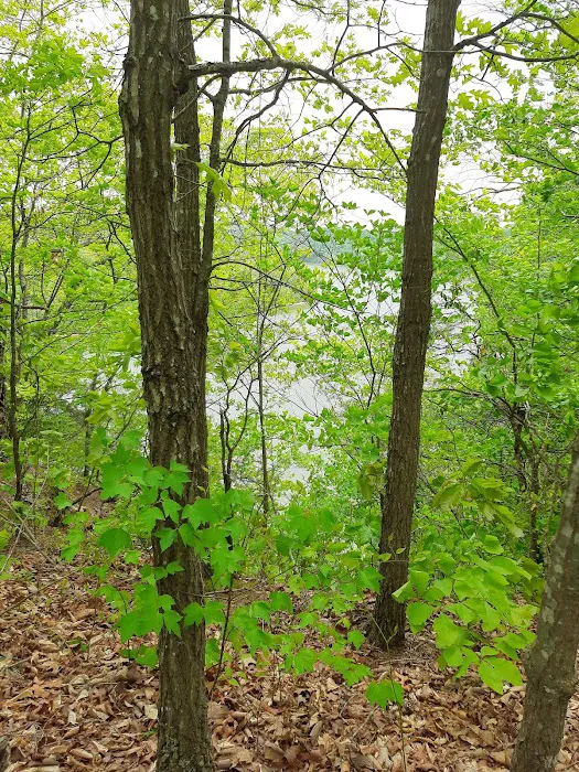 Holmes Bend Campground 2