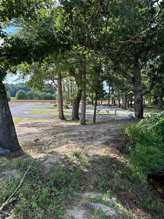 The Driftwoods RV Park 8