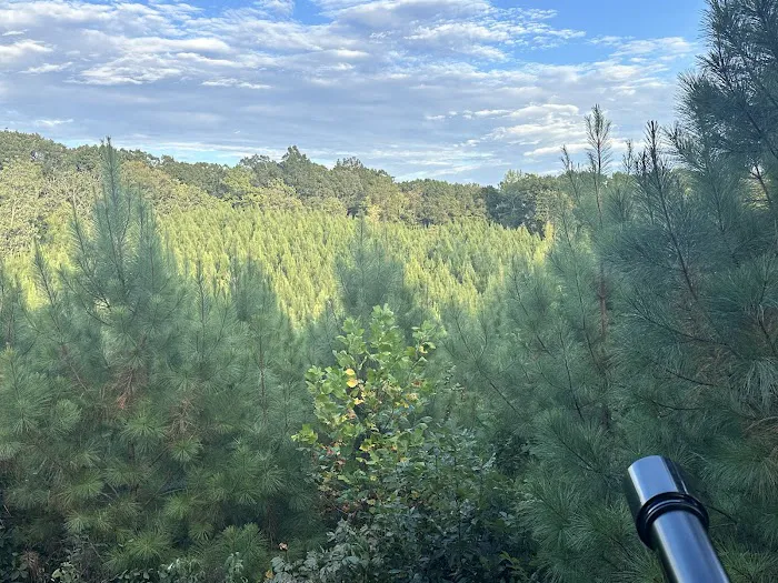 Nine Pines Retreats 5