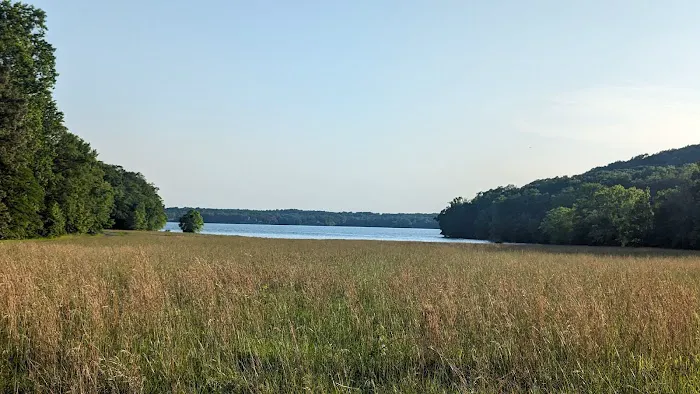 Colson Hollow Group Camping Area 8