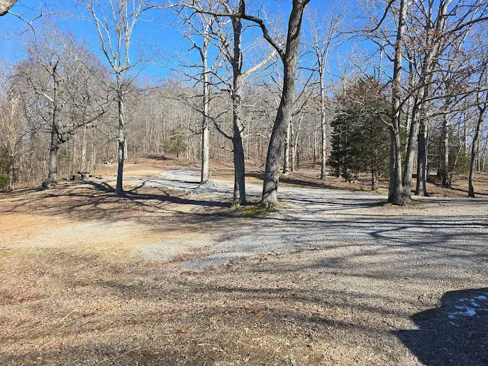 Redd Hollow Self-Service Campground & Boat Ramp 3