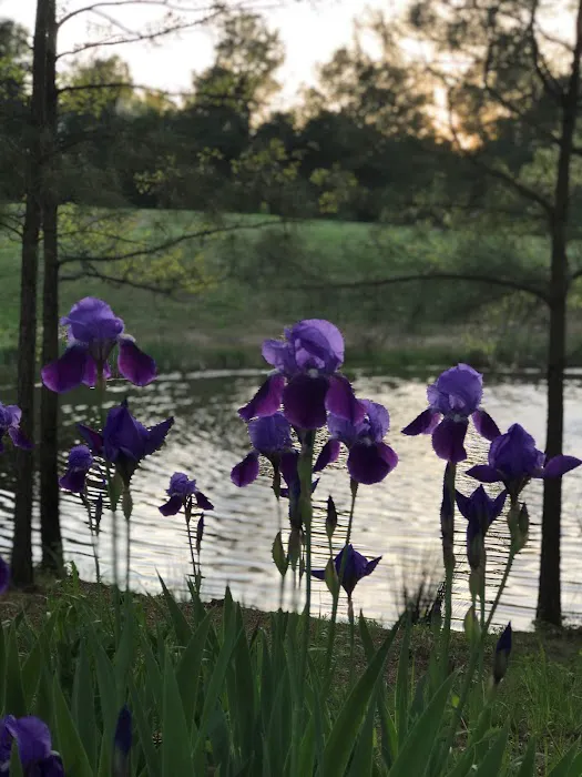 Tanglewood Campground and RV Resort 6