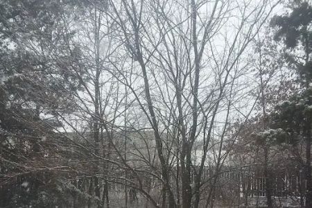 Seges Mobile Home Park