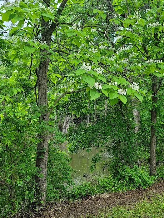 Osage Campground Retreat 2